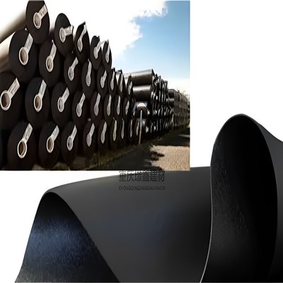 土工膜延展500密度0.8